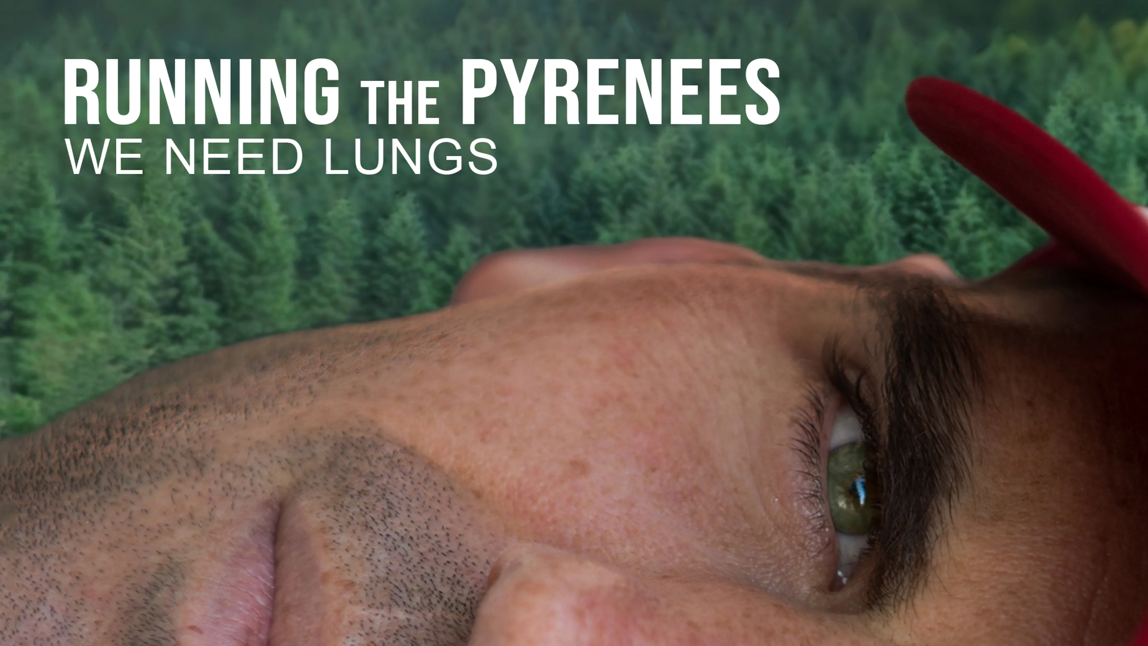 We Need Lungs - Running the Pyrenees poster